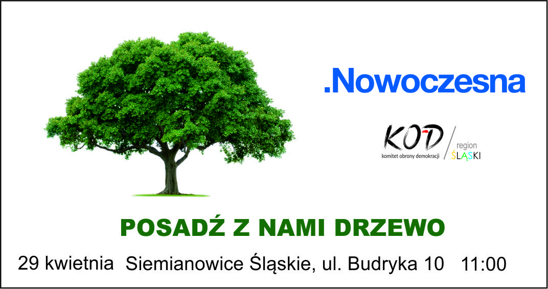 Sadzenie drzewek @ Siemianowice Śląskie, ul Budryka 10 | Siemianowice Śląskie | śląskie | Polska